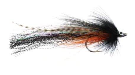 Bullethead Baitfish Bullethead Baitfish